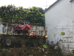 -美味之家·湖景农家乐(太湖东山店)