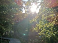 -溱湖国家湿地公园