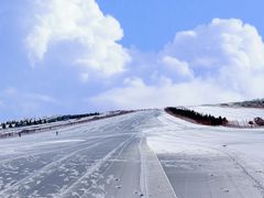 -呼兰河口湿地公园