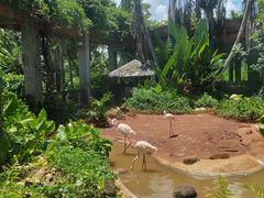 -海南热带野生动植物园