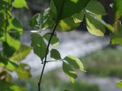 -雁荡山风景名胜区
