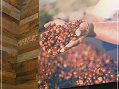 -星巴克(成都凯德天府店)