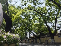 -颐和路民国时期公馆风貌区