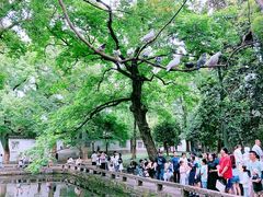 -西园戒幢律寺