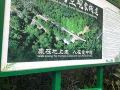 -野象谷景区