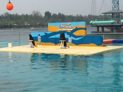 -秦皇岛乐岛海洋王国