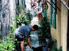 -槟城街头艺术街区