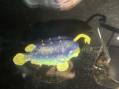 -同济大学四平路校区深海探索馆