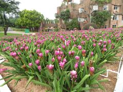 -松山湖南湖湾露营营地