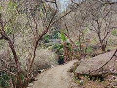 -广州市流溪河国家森林公园