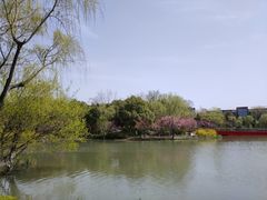 -青枫公园