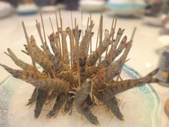 -文涵小院·邻里厨房