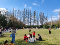 -前小桔亲子创意农场·草莓采摘·露营烧烤