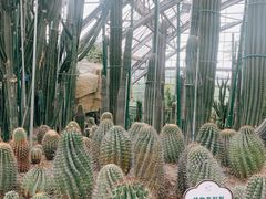 -南山植物园