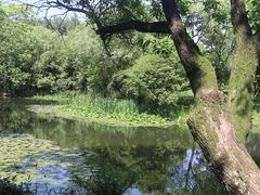 -西溪国家湿地公园