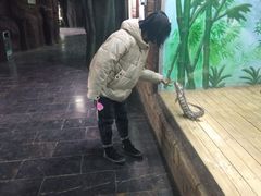 -石家庄市动物园