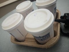 -查茨沃斯庄园