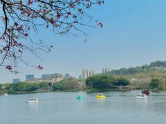 -广东花都湖国家湿地公园
