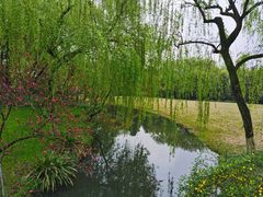 -柳浪闻莺公园