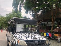 -清迈夜间动物园