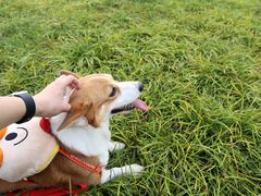 -桤木河湿地公园