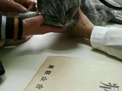 -美联众合动物医院·24h京西诊疗中心