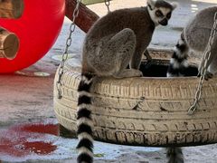 -水上乐园·欢乐世界