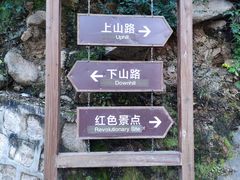 -大岭沟猕猴桃谷风景区
