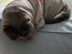 -KKV(深圳宏发大仟里店)