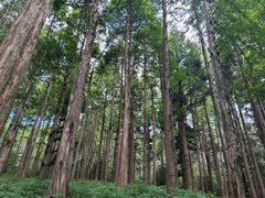 -罗田薄刀峰风景区