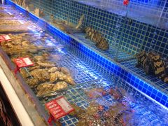 -必点海鲜·鲅鱼水饺(鞍山西道店)