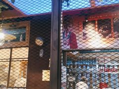 -鱼库·不仅是一家烤鱼店(车公庙店)