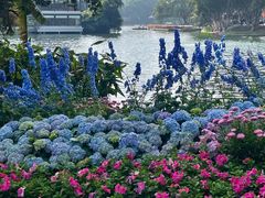 -荔湾湖公园