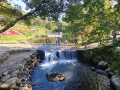 -广州市石门国家森林公园
