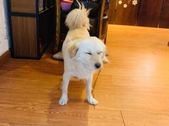-元氏钵仔糕(北京路店)