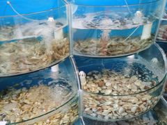 水产区-同道蒸汽海鲜烧烤自助(刘庄夜市店)