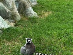 -杭州野生动物世界
