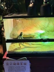 -酷嗒动物文化乐园(cutezoo西溪乐天城店)