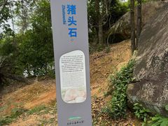 -火炉山森林公园