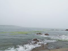 -青岛第二海水浴场