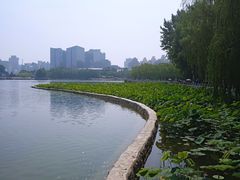-莲花池公园