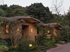 -杭州开元森泊度假乐园