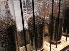-喜茶(上海兴业太古汇店)