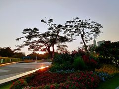 -二沙岛艺术公园