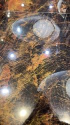 -八佰伴8008星级形象店