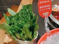 -大龙燚火锅(南山大道店)