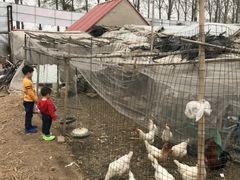 -人民公社大食堂(顺义总店)
