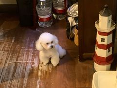 -默迹咖啡馆