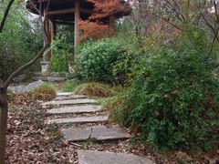 -宝界山林公园