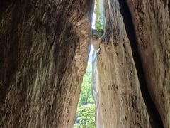-秦岭终南山世界地质公园翠华山景区